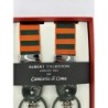 Bretelle a righe Regimental arancione/verde nastro rigido 35mm con attacco 2 in 1